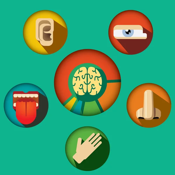 Concepto de cinco sentidos con iconos de órganos humanos y cerebro en rueda dentada ilustración vectorial — Vector de stock