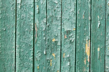 Eski ahşap rustik yeşil arka plan, boyalı peeling boya