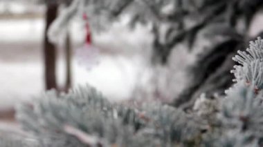 Kış sahne - Noel sezonu ve dekorasyon.