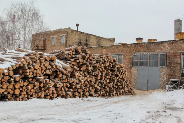 Träskörd för virkesindustrin eller byggkoncept för trähus. Stor vedtrave från sågade barkade tallvedsstockar — Stockfoto