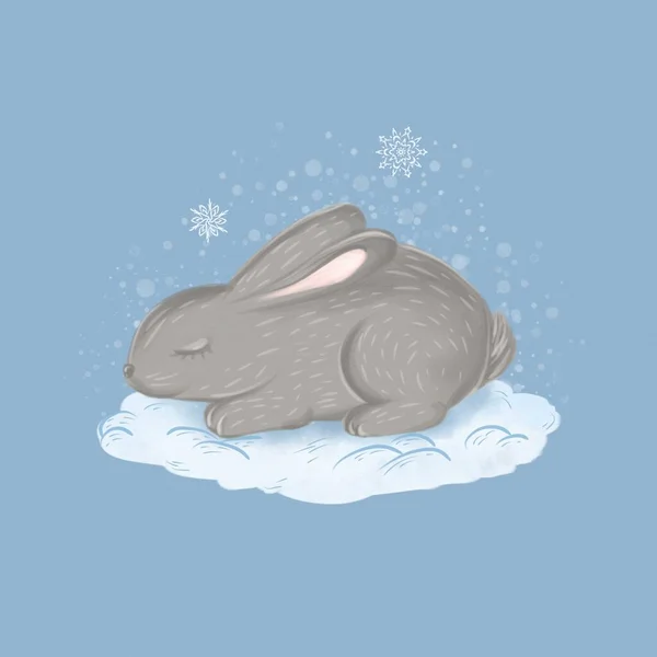 Cute Bunny Snow Snowflakes Winter — ストック写真