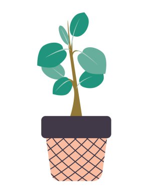 Ot vektör ikonunda yeşil, düz ev bitkisi. Tencere simgeleri. Beyaz arka planda izole edilmiş ev bitkileri. Ulusal Bahçıvanlık Günü. Ev dekoru. Havalı saksılarda bitkiler