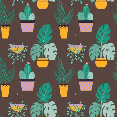 Tencerelerdeki modaya uymayan ev bitkilerinin vektör çizimi: aloe vera, keman yaprağı inciri, yılan bitkisi, canavar, eşek kuyruğu, aglaonema, yeşim taşı bitkisi. Evin iç dekorasyonu..