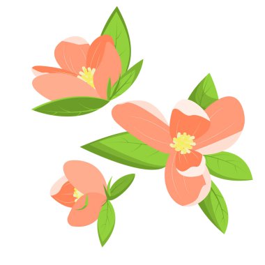 Yapraklı pembe çiçekler. Bahar çiçekleri. Sakura çiçeklerinin vektör çizimi