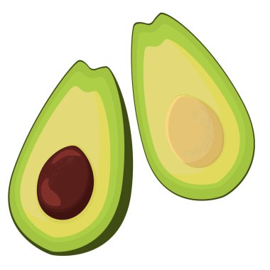 Beyaz arka planda izole edilmiş gerçekçi taze meyve avokadosu. Avokadoyu yarıya böl.