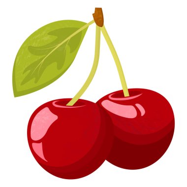 Yapraklı iki olgun kırmızı kiraz. Beyaz arkaplanda izole edilmiş sulu kirazların vektör çizimi.