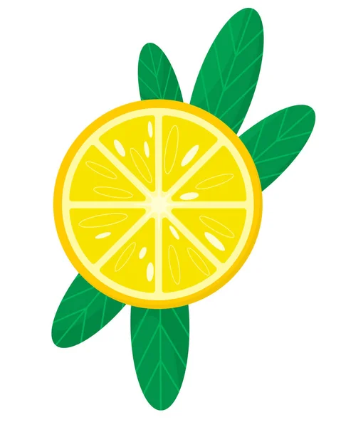 Citron v zářezu. Vektorové znázornění citronového plátku s listy izolovanými na bílém pozadí. Čerstvě kyselá ikona vektoru citronu. Citrus — Stockový vektor