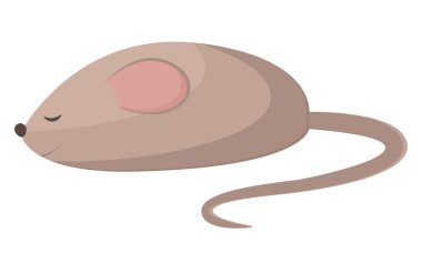 Fare. Beyaz arka planda izole edilmiş küçük gri fare. Düz bir şekilde bir farenin vektör çizimi. Evcil hayvan konsepti. Evcil oyuncaklar. Kemirgenler.