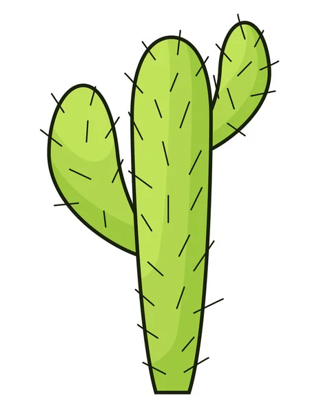 Vector desert cactus cartoon vector and illustrations, hand drawn style isolated on white background. Drawing of a cactus with shoots on a white background — Stock Vector