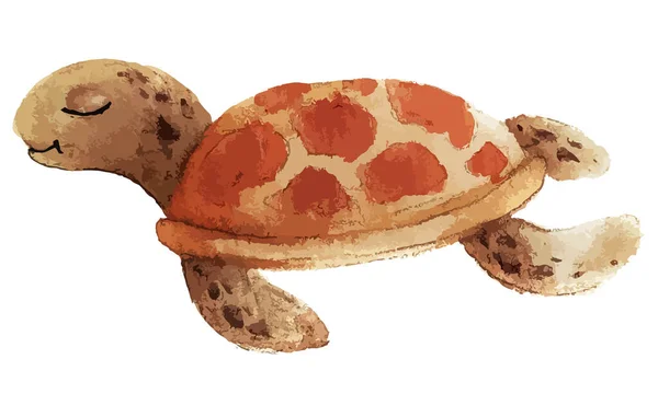 Tortue de mer. Dessin réaliste, artistique et coloré d'une tortue de mer sur fond blanc dans un style aquarelle. — Image vectorielle