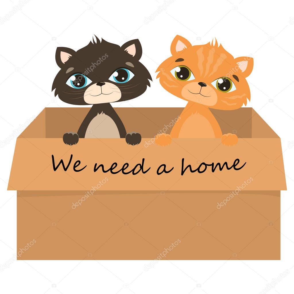 Vector kittens isolated on white background. A sad gray and red stray kitten in a cardboard box begs for adoption. Vector illustration for cat adoption poster or banner. Two vector cats