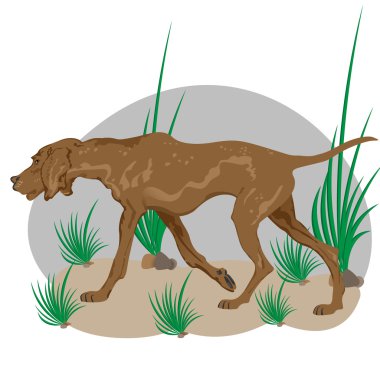 Sinsi sinsi üzerinde büyük kahverengi köpek