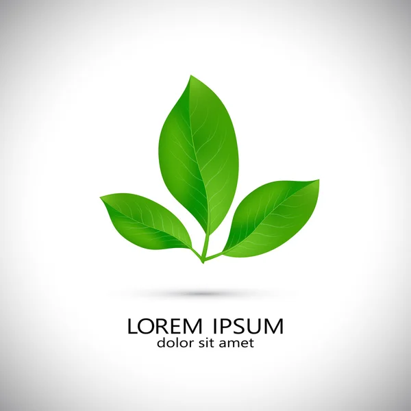 Ícone de negócios com folhas verdes frescas, modelo de design —  Vetores de Stock