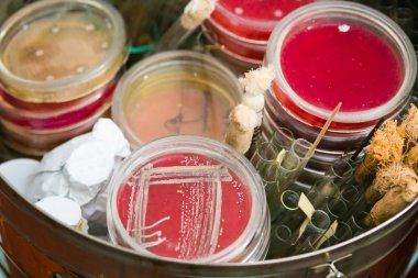 Petri dishes and test tubes clipart