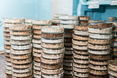 Petri yemekler bir laboratuvarda