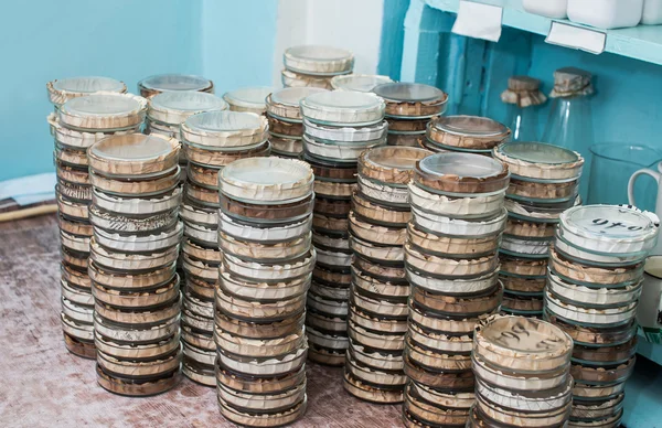 Petri yemekler bir laboratuvarda