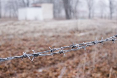 hoarfrost ile kaplı dikenli tel çit