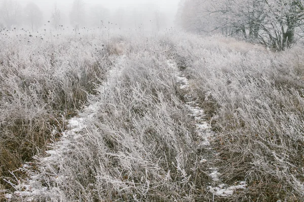 Icy road — Stock Photo, Image