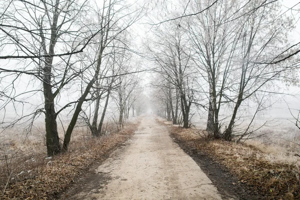 Beautiful winter road — Stock Photo, Image