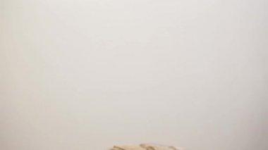 Ev yapımı organik Maya çavdar ekmek taze pişmiş ekmek hafifçe unlanmış ahşap masa üzerinde parçalar halinde kesilmiş