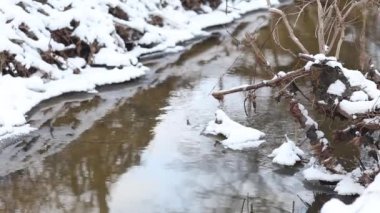 Buzlu su hızlı bahar creek içinde çalışan. Düşen kar taneleri