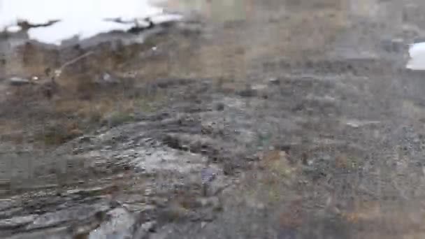 Buzlu su hızlı bahar akışında çalıştıran. Dere üzerinde asılı ağaç dalları — Stok video