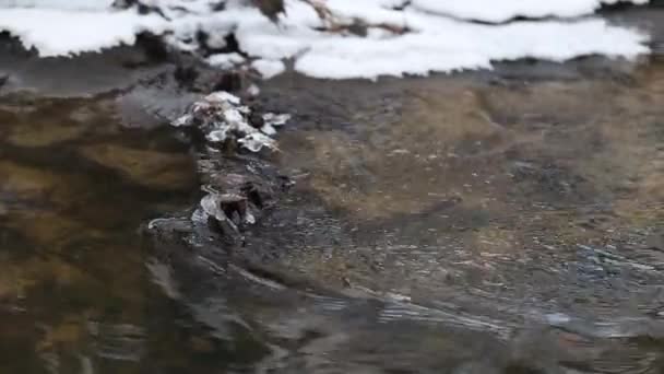 Nahaufnahme von Eiswasser, das in einem schnellen Quellbach fließt. Eis schmilzt auf einem Felsen — Stockvideo