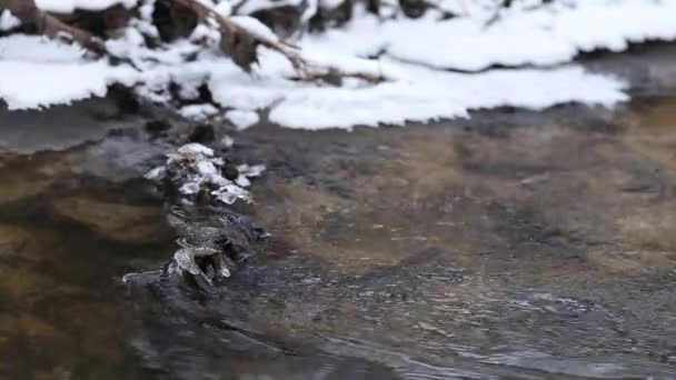 近摄镜头的运行在快速春天小河里的冰水。在一块岩石上融化的冰 — 图库视频影像