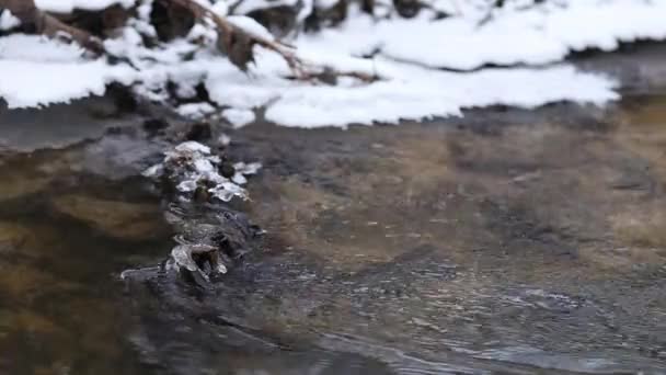 Крупный план ледяной воды, текущей в быстром ручье. Таяние льда на скале — стоковое видео