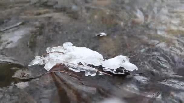 Close up shot of ice water running in a fast spring stream.Ice melting on a rock — Stock Video