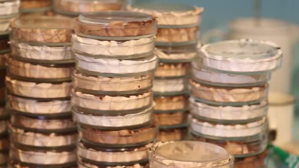 Stacks of Petri dishes in medical laboratory — Stock Video