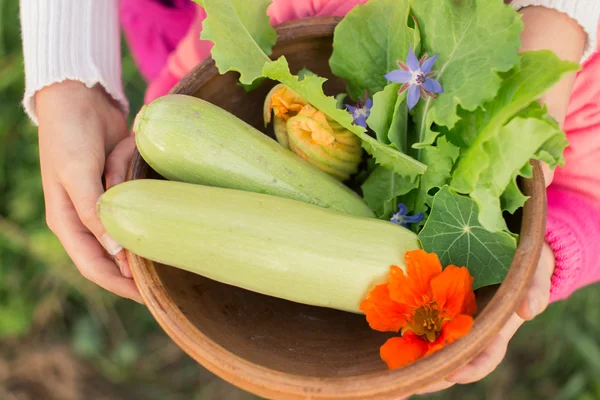 Tazón de verduras recién recogidas en las manos de los niños — Foto de Stock