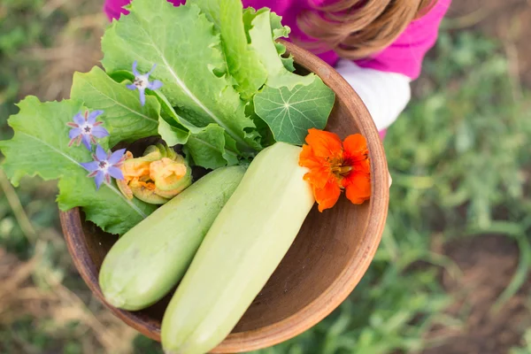 Cuenco de verduras recién recogidas en las manos del niño — Foto de Stock