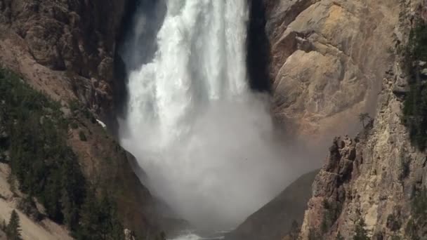 Het Nationaal Park Yellowstone. Waterval. — Stockvideo