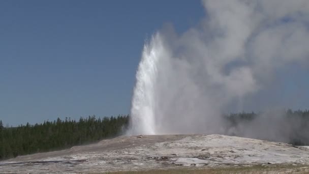 Geysir — Stockvideo