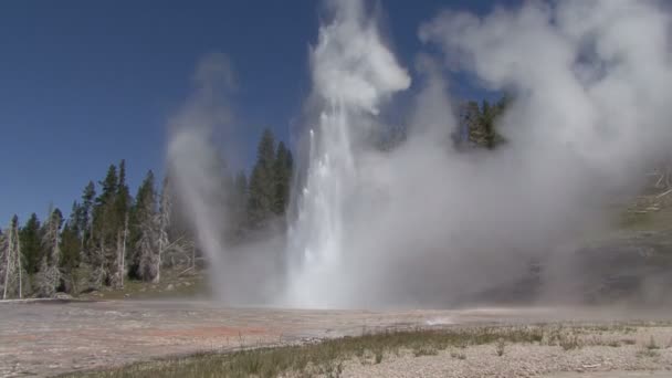 Geyser... — Vídeo de Stock