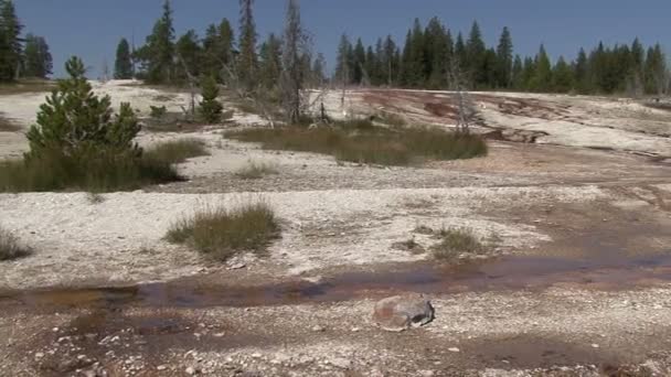 Parque Nacional de Yellowstone — Vídeo de stock