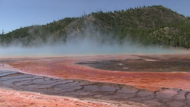 Parque Nacional de Yellowstone — Vídeo de stock