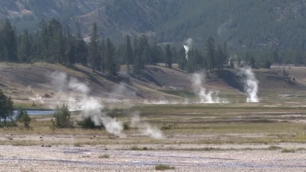 Parque Nacional de Yellowstone — Vídeo de stock