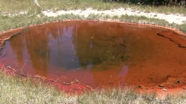 Het Nationaalpark Yellowstone — Stockvideo