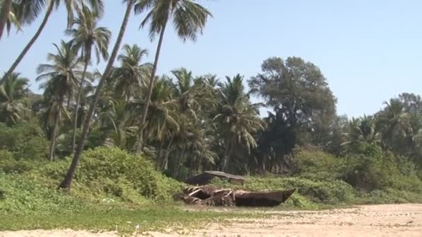 Goa Inde — Video