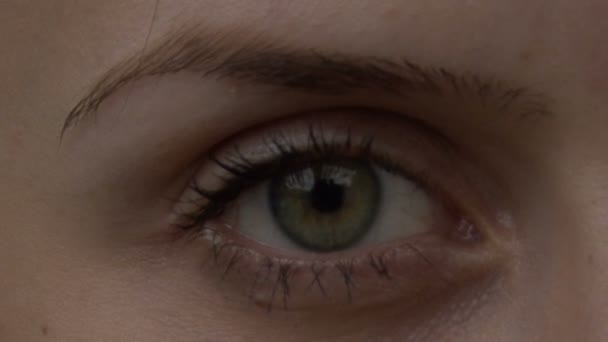 Augen blinzeln — Stockvideo