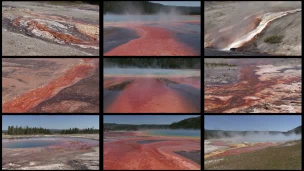 Multi-Geysir — Stockvideo