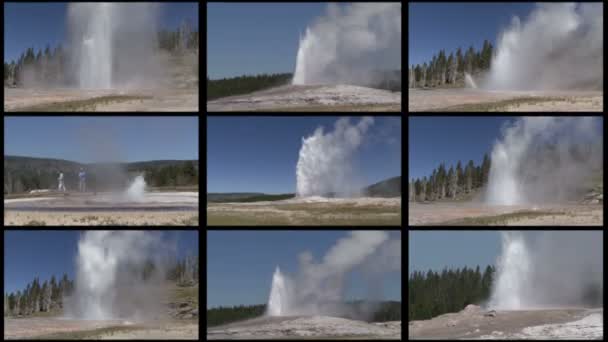 Multi Geyser — Stock Video