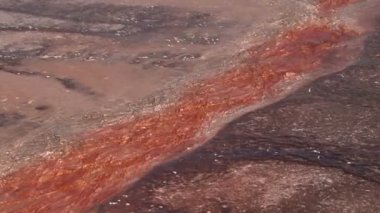 Vídeos de stock de Parque, vídeos sin royalties de Parque | Depositphotos®