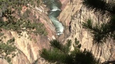 Yellowstone Ulusal Parkı. Şelale.