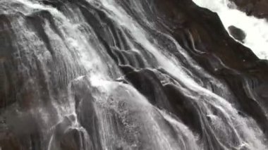Yellowstone Ulusal Parkı. Şelale.