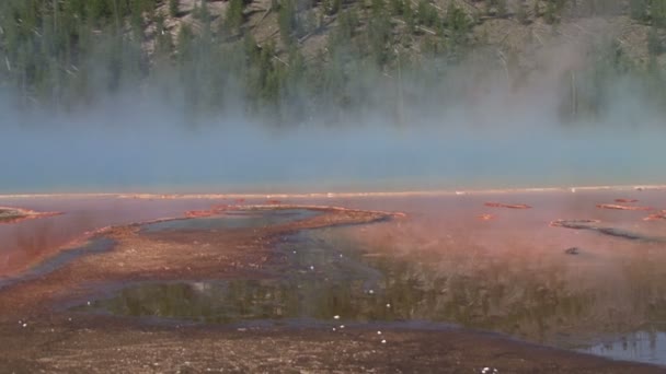 Geysir — Stockvideo