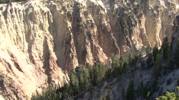 Het Nationaal Park Yellowstone. Waterval. — Stockvideo