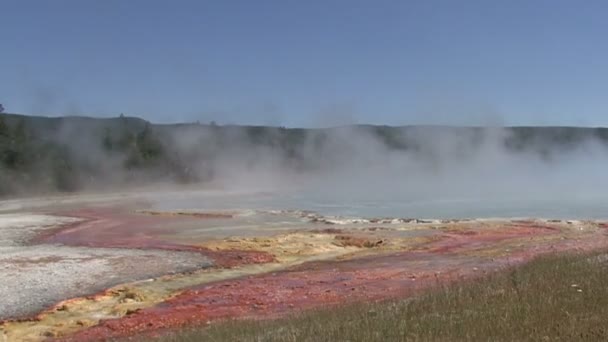 Geysers. — Stock Video